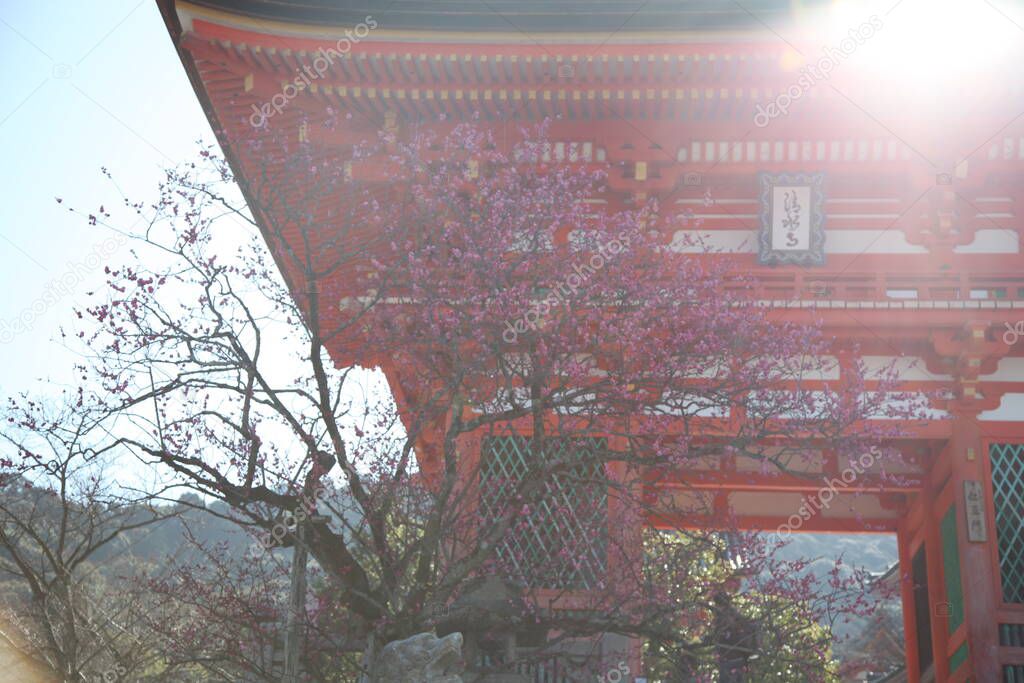 Kyoto, Japan-MARCH 12, 2013: Higashiyama kiyomizu dera- Nio-mon