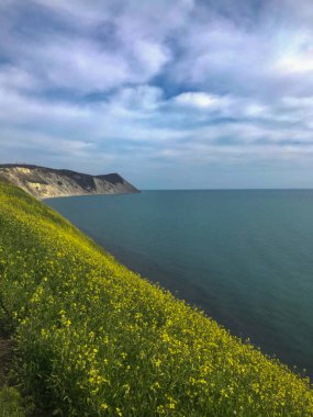 Denizin arka planında sarı çiçeklerle çevrili dağlarla kayalık sahil manzarası