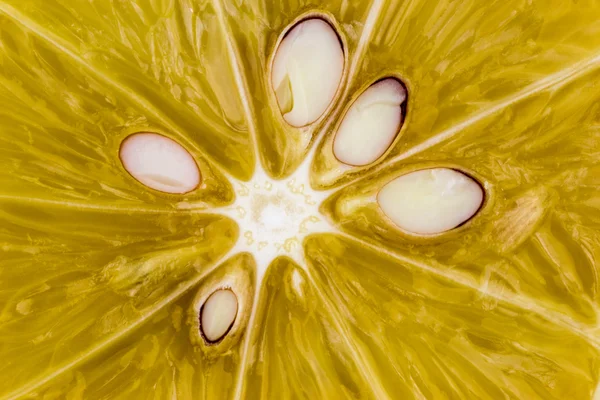 Cut Lemon Extreme Close Up View — Stock Photo, Image