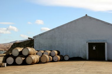 Scotch viski damıtım Isle of Islay İskoçya