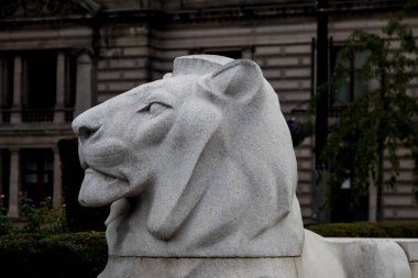 George Square Glasgow İskoçya 'da bulunan taş aslan