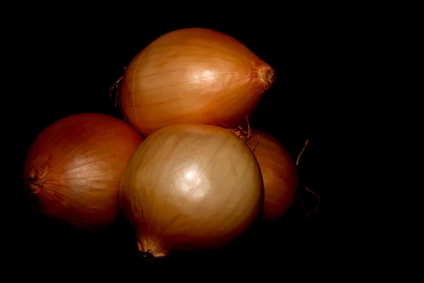 Onions Isolated on Black Background — Stock Photo, Image