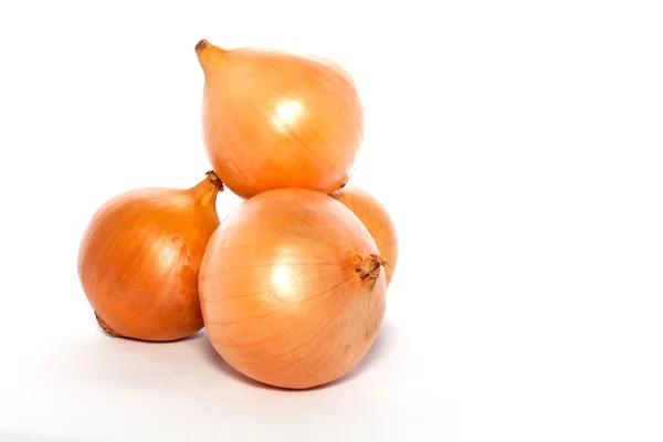 Onions on White — Stock Photo, Image