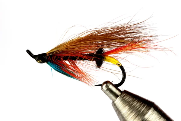 Somon Balıkçılık Fly üzerinde beyaz izole mengene ipe anında 