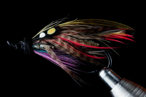 Salmon Fishing Fly on Fly Tying Vise on Black Background — Stock Photo, Image