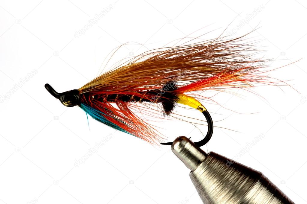 Salmon Fishing Fly on Fly Tying Vise Isolated on White 