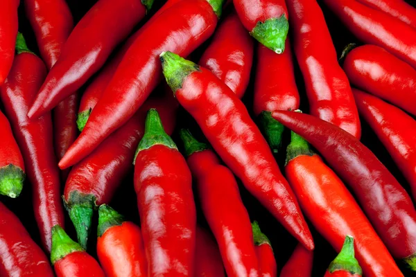 Malé červené Chilli papričky zblízka — Stock fotografie