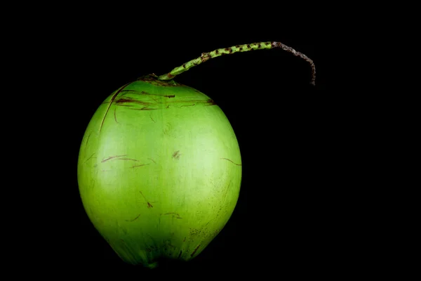 블랙에 고립 된 젊은 코코넛 — 스톡 사진