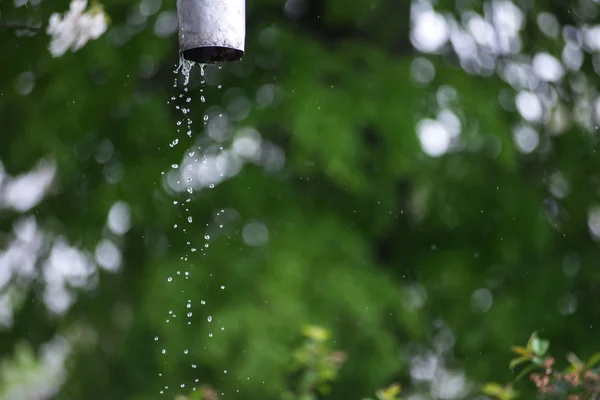 Druppels water vallen op de achtergrond van meigroen. — Stockfoto