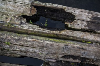 su eski yönetim kurulu