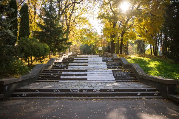 sonbahar arka plan. Park yeşillik kaplı merdivenler.