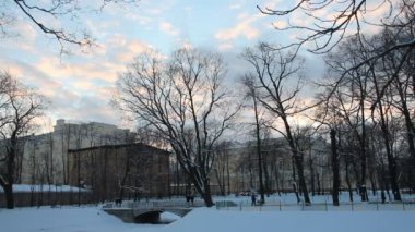 Mikhailovsky Bahçe Saint Petersburg'daki kış akşam.