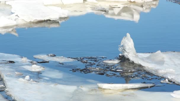 Derretendo gelo no rio . — Vídeo de Stock