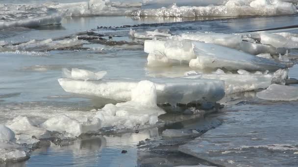 Día soleado, el hielo y el agua en el río . — Vídeo de stock