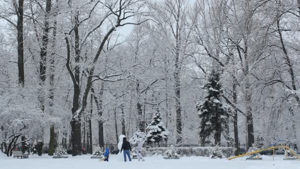 Winter landscape, snow in the city. — Stock Video