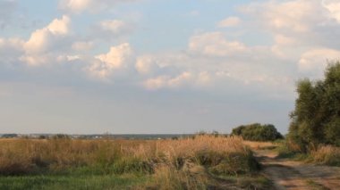 Yaz manzara. Köyün alanında.