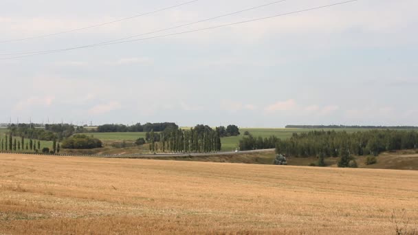 Camion e altri veicoli che viaggiano lungo una strada di campagna. Strada nel settore del trasporto di merci nelle zone rurali . — Video Stock