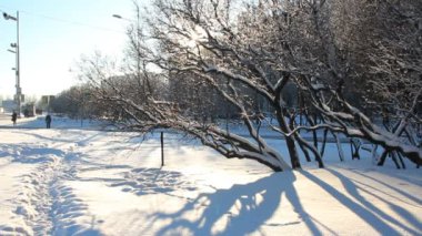 Kış manzarası. Büyük bir şehirde kış güneşli gün.