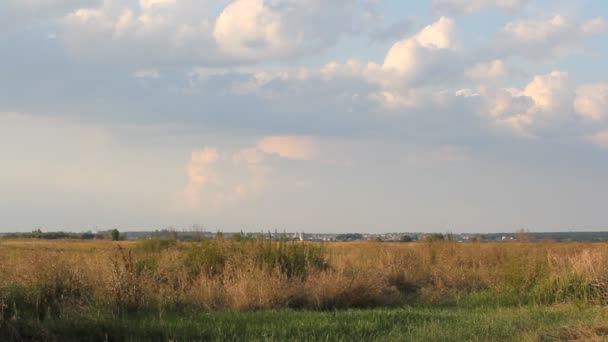 Pemandangan musim panas - awan yang indah di atas lapangan . — Stok Video