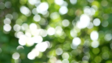 Soyut arkaplan - yeşil, leylak, sarı renkler, ilkbahar kaleydoskobu.