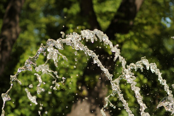 Фонтан в Летнем саду
.