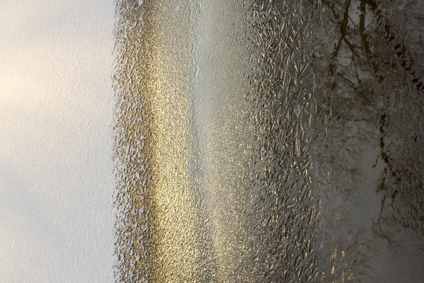 LED vzory na vodě, sněhu pozadí. — Stock fotografie