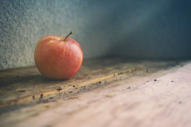 Meyve. Tek bir apple ile en az kompozisyon.