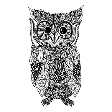 Owl hand drawn doodle style
