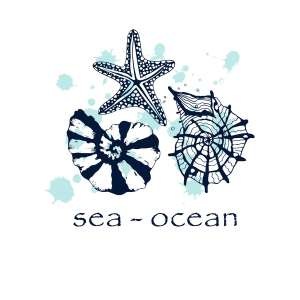 Seashells on a background of watercolor drops