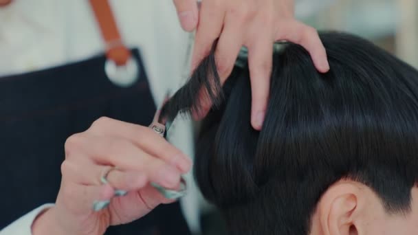 Borbély Ollóval Vágja Hajat Fül Körül Professzionális Fodrászok Tervezni Haj — Stock videók