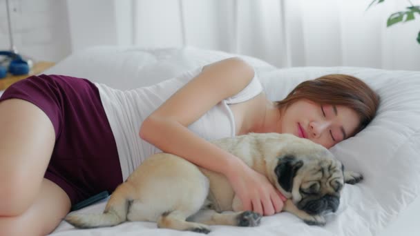 Βιντεοσκοπημένο Βίντεο Μια Όμορφη Ασιάτισσα Ξαπλωμένη Στο Κρεβάτι Σκυλάκι Της — Αρχείο Βίντεο