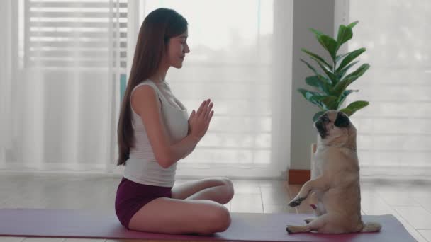Güzel Bir Asyalı Kadın Yatak Odasındaki Yoga Minderinde Nilüfer Pug — Stok video