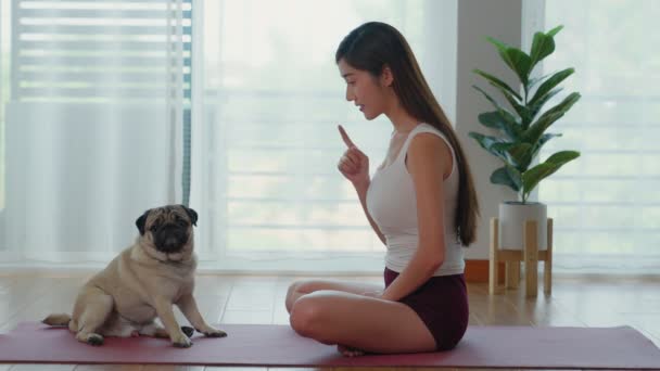 Uma Mulher Manhã Senta Tapete Ioga Com Seu Cão Estimação — Vídeo de Stock