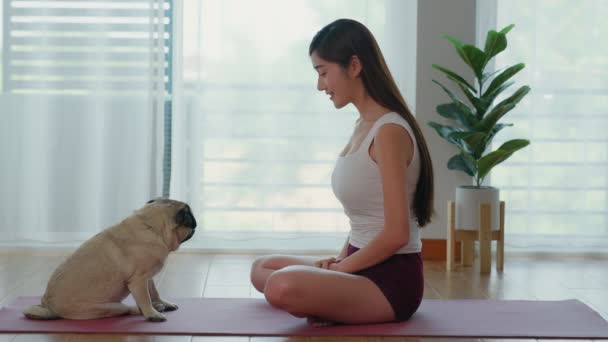 Uma Mulher Manhã Senta Tapete Ioga Com Seu Cão Estimação — Vídeo de Stock