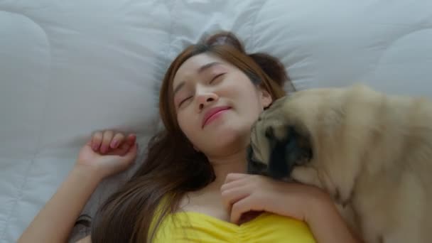 美しいアジアの女性がベッドの中で彼女のペットのパグと一緒にラウンジ 犬はいじめるとなめる — ストック動画