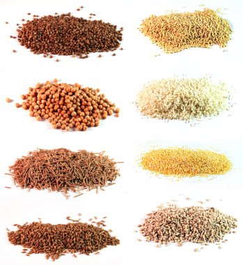 Kabuğu çıkarılmış tane sekiz çeşit beyaz bir arka plan üzerine serpilir