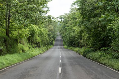 MUMBAI-INDIA - 29 Temmuz 2020: Bombay yakınlarındaki Thane ilçesinde Malshej Ghat 'e giden boş bir yolda beyaz yol ayracı tabelası.
