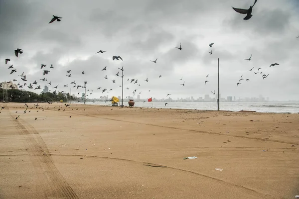 MUMBAI / INDIA - 6 AĞUSTOS 2020: Ülke çapındaki tecrit sırasında terk edilmiş Girgaon chowpatty 'nin genel görünümü.
