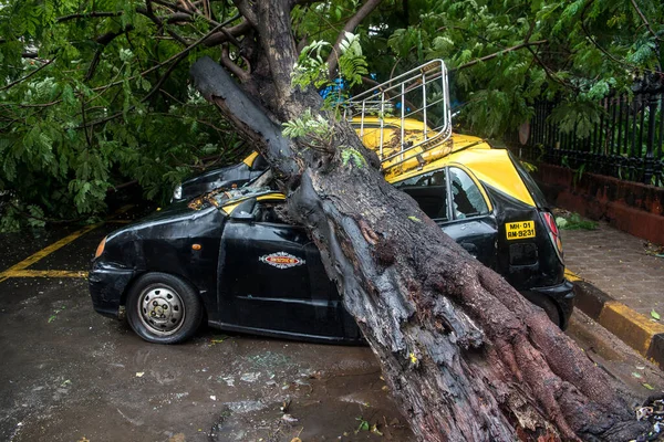 Mumbai India 2020年8月6日 ホーニマン サークルでの最近の豪雨の後 駐車中のタクシーに木が落ちた — ストック写真