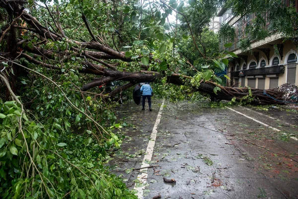 ムンバイ インド 2020年8月6日 フォートエリアでモンスーン豪雨が発生した後 木が道に落ちた — ストック写真