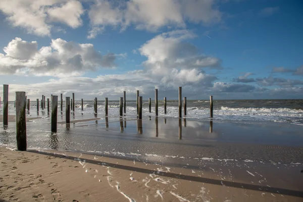 Petten Aan Zee Netherlands January 2021 Wooden Poles Palendorp Beach — Stock Photo, Image