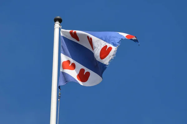 Ден Хельдер Нідерланди Травень 2020 Прапор Фрісленду Провінції Нідерландів Фотографія — стокове фото