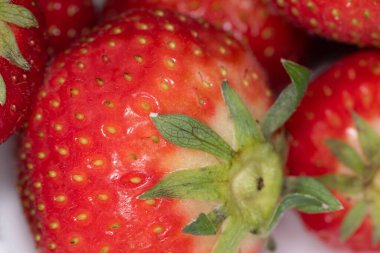 Grootebroek, Hollanda, Mayıs 2021. Kırmızı çilekleri kapat..