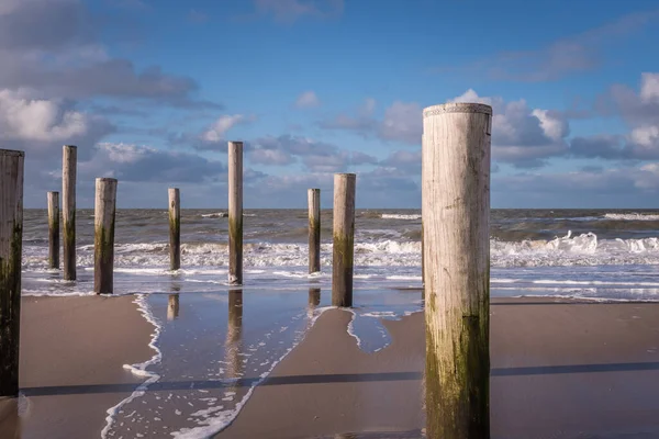 Petten, the Netherlands. March 3, 2021. Wooden poles at the beach near Petten aan Zee, the Netherlands. — Stock Photo, Image