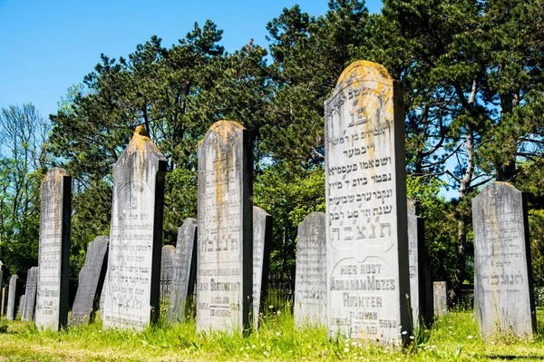 Den Helder, Paesi Bassi. 3 giugno 2021.Le vecchie tombe fatiscenti del cimitero ebraico di Den Helder, Paesi Bassi. — Foto Stock