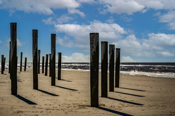 Petten aan Zee, the Netherlands. March 2021. The wooden pole village at the beach near Petten. — Stock Photo, Image