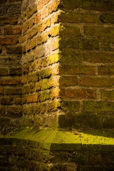 Alkmaar, Pays-Bas. Juin 2021. Vieille maçonnerie d'un mur — Photo