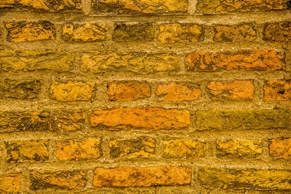 Alkmaar, the Netherlands. June 2021. Old masonry of a wall — Stock Photo, Image