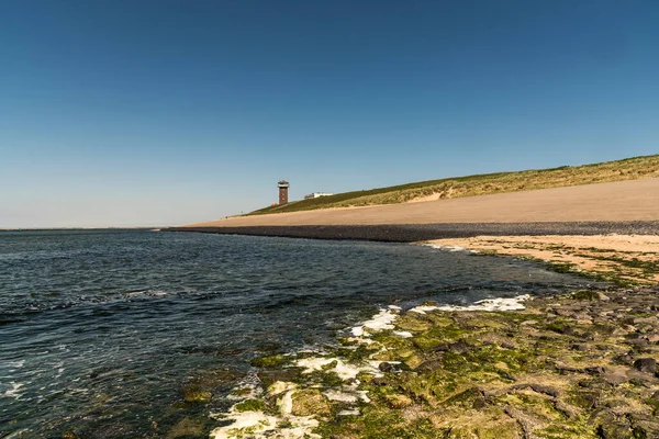 Den Helder Netherlands July 2021 Dune Landscape Coast North Holland — Stock Photo, Image