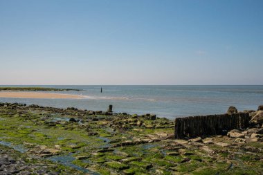 Den Helder, Hollanda. Temmuz 2021. Kum manzarası ve Kuzey Hollanda kıyıları.